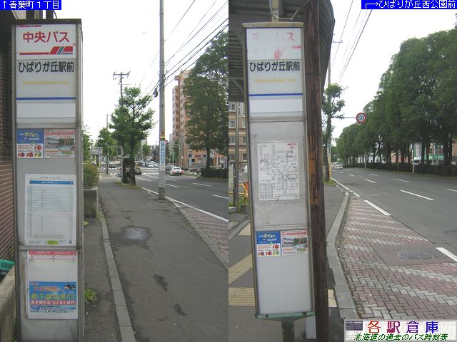 2009-10Be_Dysʋ_Ђ΂肪uwykCoXz
