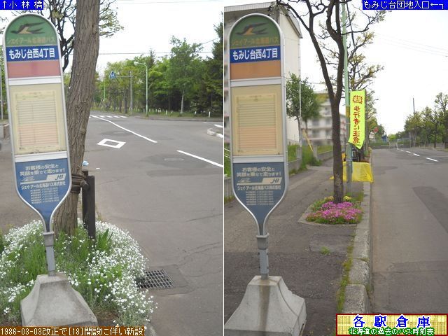 2010-06Be_Dysʋ_݂䐼SځyWFCEA[kCoXz