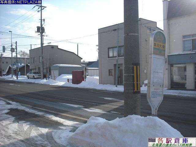 2009-02Be_[s_[勴ykoXE݃oXz