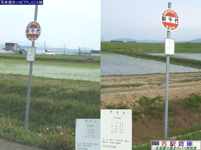 2008-06Be_w_Vywz